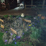 Photo n°6 de l'avis de Ammirato.m fait le 02/01/2020 à 15:35 sur le  TRADIZIONE SICILIANA Ristorante Da Leo à Linguaglossa