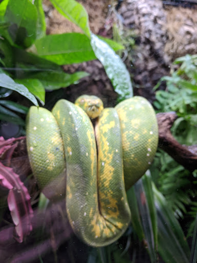 Pet Store «Fin-N-Feather», reviews and photos, 2931 F St, Eureka, CA 95501, USA