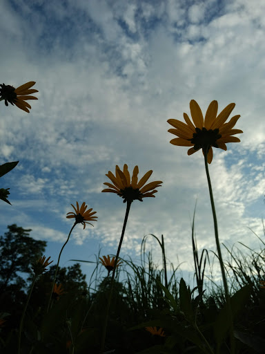 Park «Pioneer Park», reviews and photos, 10505 Deerfield Rd, Montgomery, OH 45242, USA