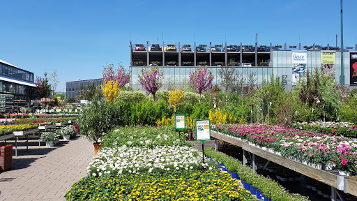 Sunflower Garten-Center