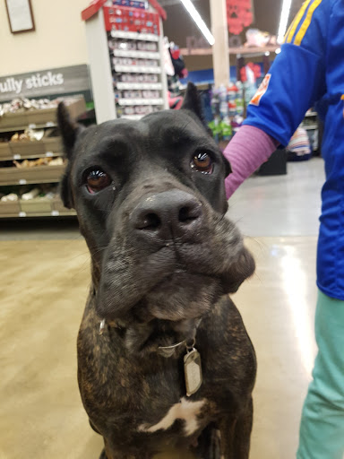 Petco