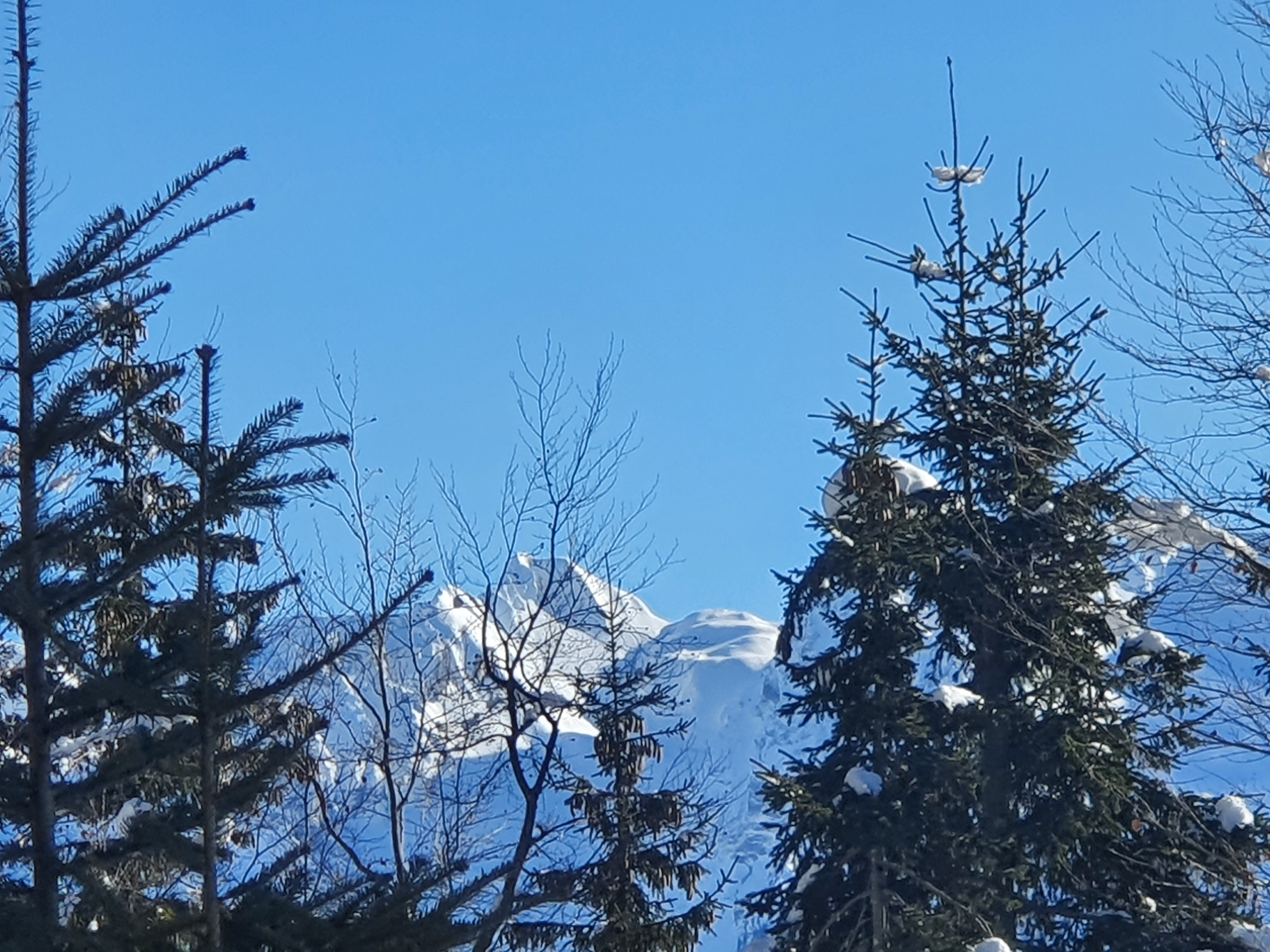 Photo n° 1 de l'avis de Olivier.a fait le 14/01/2024 à 17:51