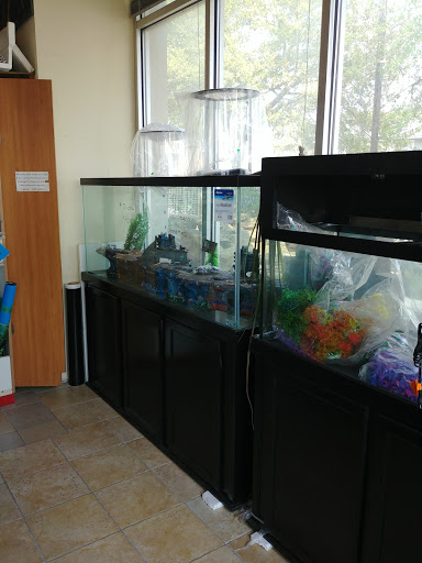 Pet Store «Fish-N-Pets Unlimited», reviews and photos, 11710 Bissonnet St, Houston, TX 77099, USA