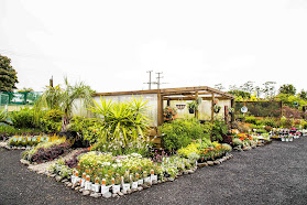 Mercury Bay Garden Centre & Landscape Supplies