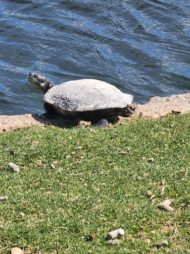 Park «Trailside Point Park», reviews and photos, 7215 W Vineyard Rd, Laveen Village, AZ 85339, USA