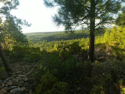 Grocery Store «Grocery Outlet Bargain Market», reviews and photos, 1815 W Ida St, Stayton, OR 97383, USA