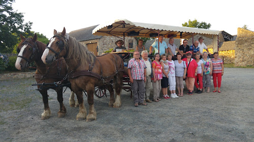 Gaec de la Jarretière à Segré-en-Anjou Bleu