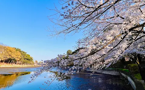 Omiya Park image