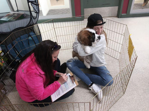 Pet Store «Petland Montgomery», reviews and photos, 7127 Eastchase Pkwy, Montgomery, AL 36117, USA