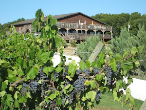 Ridge View Winery