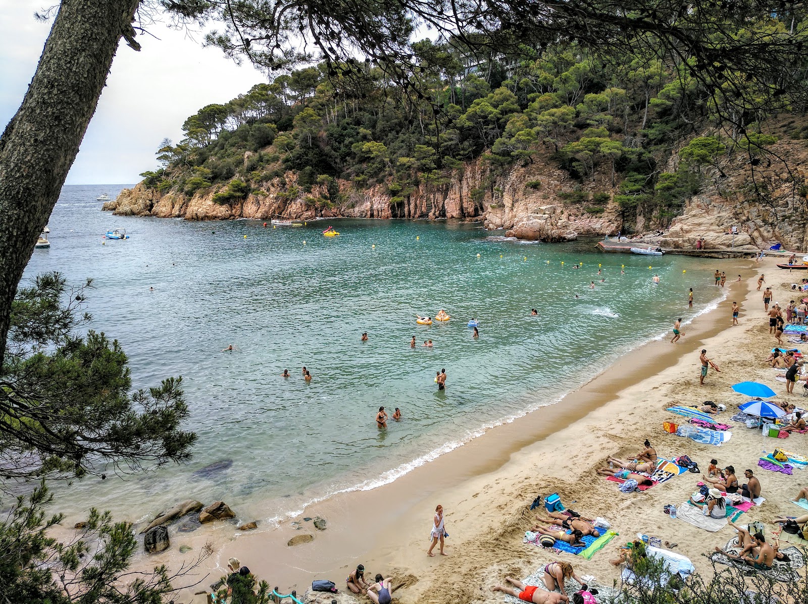 Platja Cala Aiguablava photo #8