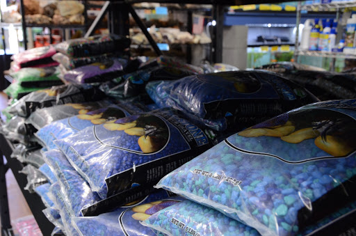 Tropical Fish Store «Age of Aquariums», reviews and photos, 118 N Cedar Ave, Cookeville, TN 38501, USA