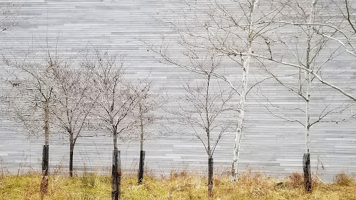 Modern Art Museum «Glenstone», reviews and photos, 12002 Glen Rd, Potomac, MD 20854, USA