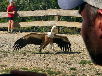 Rocher des Aigles à Rocamadour
