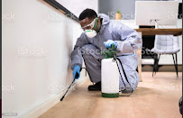 Hall Pest Control Services LLC - Photo 5 - Car repair in , Mobile