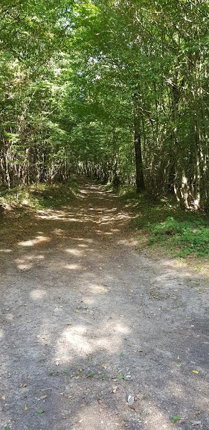 Challouet Bernadette à Beaulieu-sur-Loire (Loiret 45)