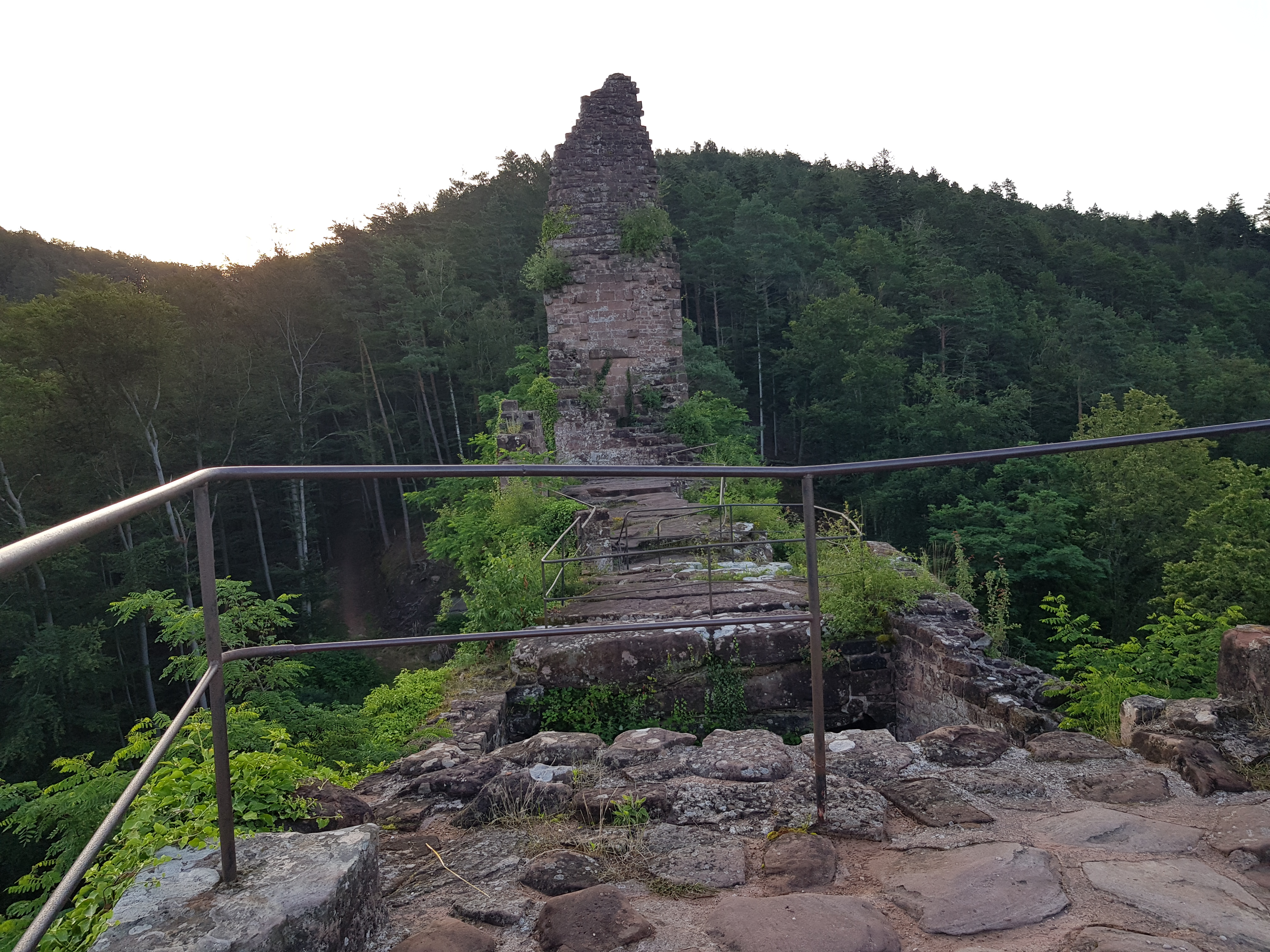 Photo n° 3 de l'avis de Jana.r fait le 26/07/2021 à 08:48