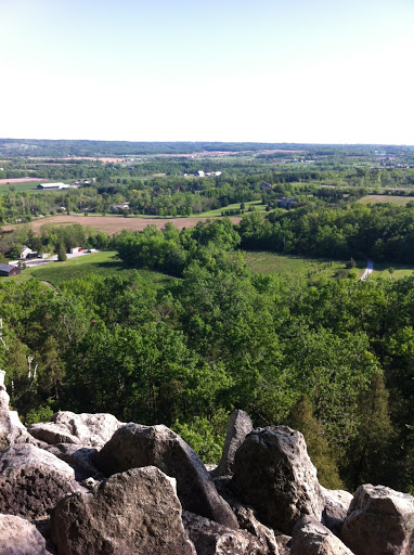 Zoo «Central Park Zoo», reviews and photos, E 64th St & 5th Ave, New York, NY 10021, USA