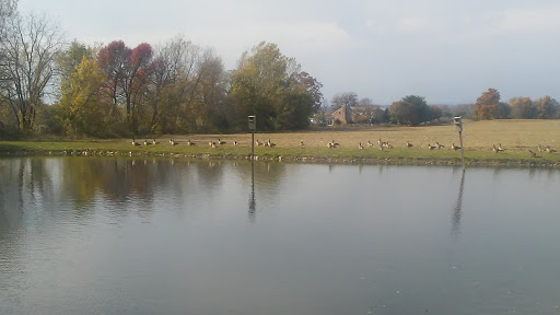 Cabinet Maker «Kountry Kraft Custom Cabinetry», reviews and photos, 291 S Sheridan Rd, Newmanstown, PA 17073, USA