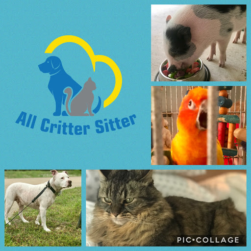 All Critter Sitter Pet Sitting