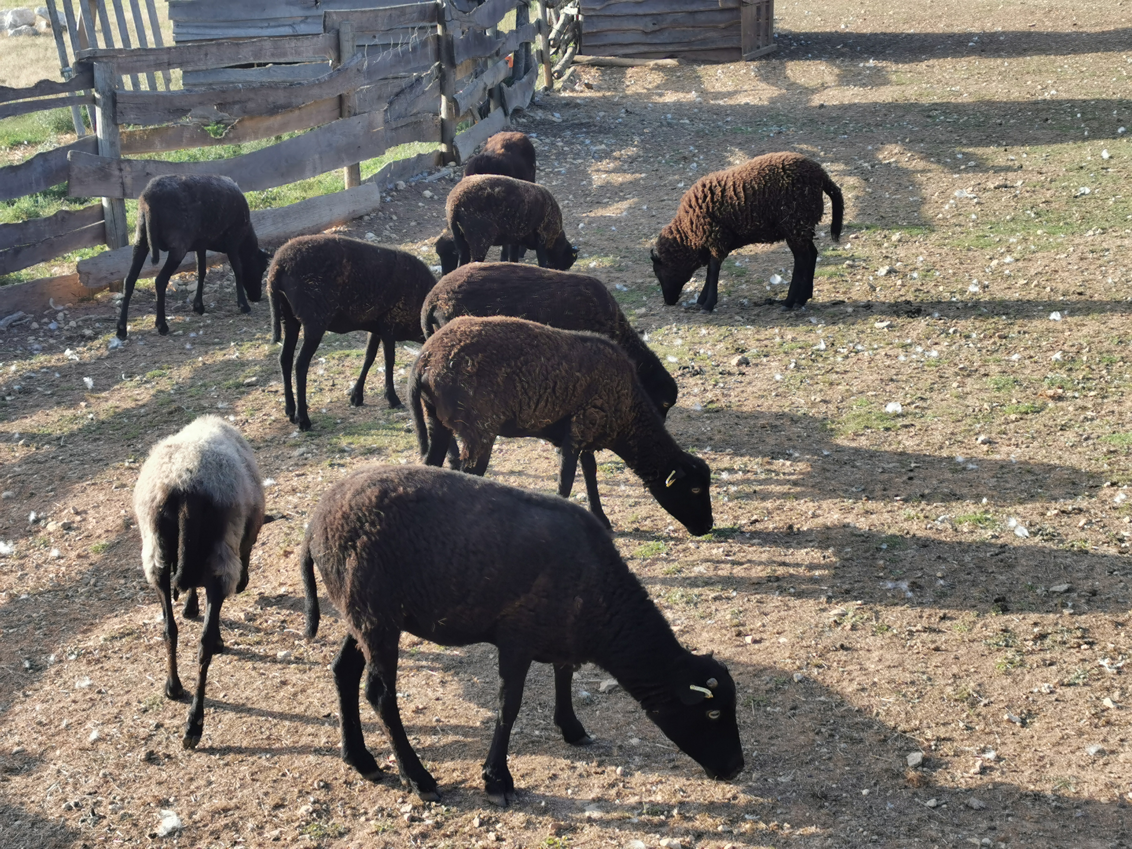 Photo n° 8 de l'avis de Sarah.a fait le 11/08/2023 à 07:34