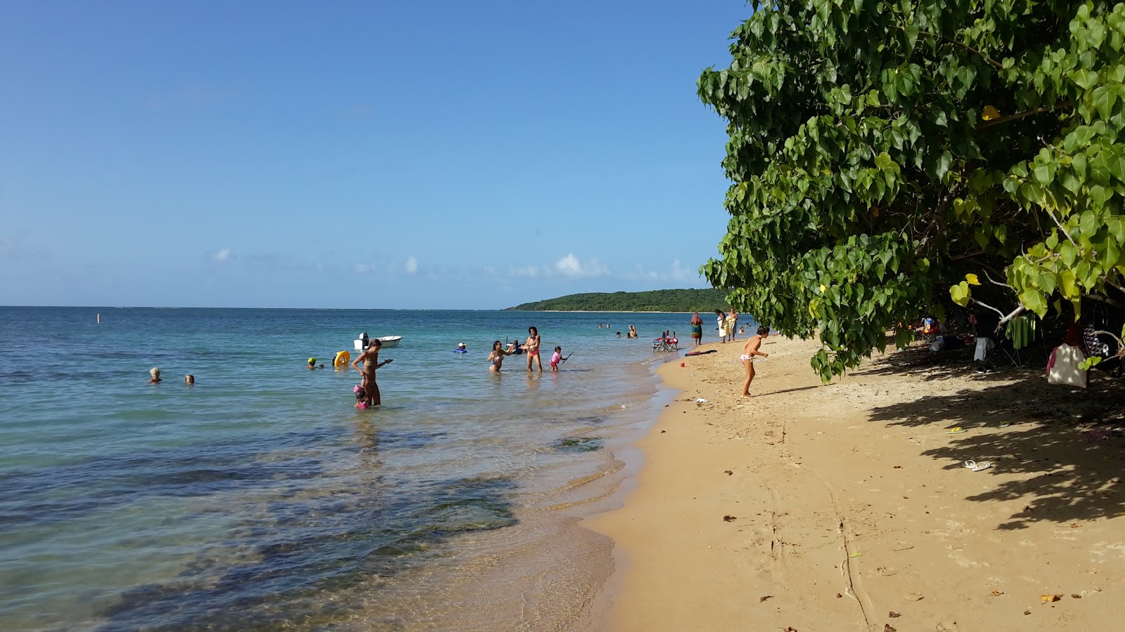 Foto van Playa La Pocita de Mimosa met turquoise puur water oppervlakte