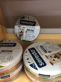 Outdoor Supply Inc - Photo 5 - Car repair in Archdale, NC, High Point