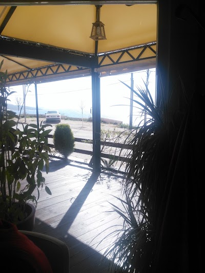 Photos of Layo's