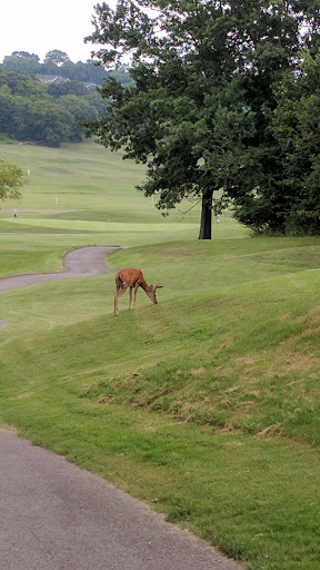 Wedding Venue «Country Hills Golf Club», reviews and photos, 1501 Saundersville Rd, Hendersonville, TN 37075, USA