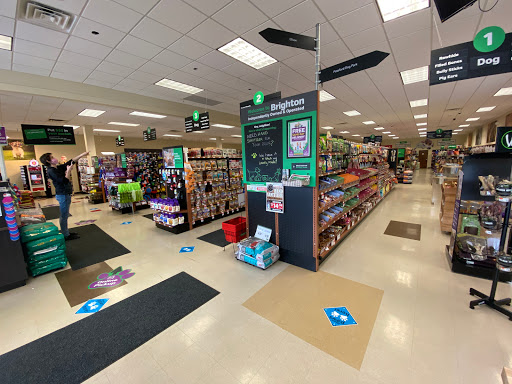 Pet Store «PetSaver Healthy Pet Superstore (Brighton Location)», reviews and photos, 2947 Monroe Ave, Rochester, NY 14618, USA