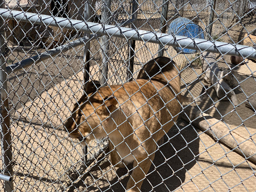 Zoo «Sierra Safari Zoo», reviews and photos, 10200 N Virginia St, Reno, NV 89506, USA