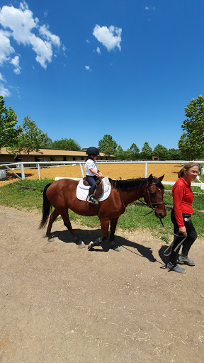 North Texas Equestrian Center - Riding Lessons & Horse Boarding near Dallas, TX