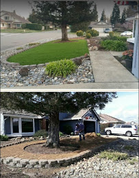 A.D. Landscape Service - Photo 9 - Car repair in Sacramento, CA, Elk Grove