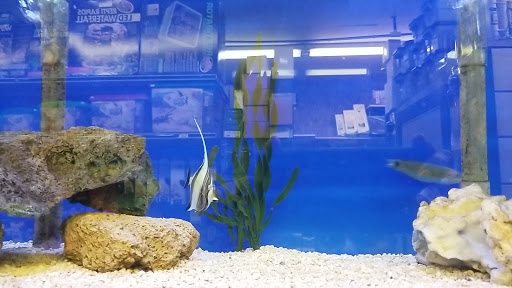 Tropical Fish Store «Stingray Bay», reviews and photos, 17800 E 9 Mile Rd, Eastpointe, MI 48021, USA