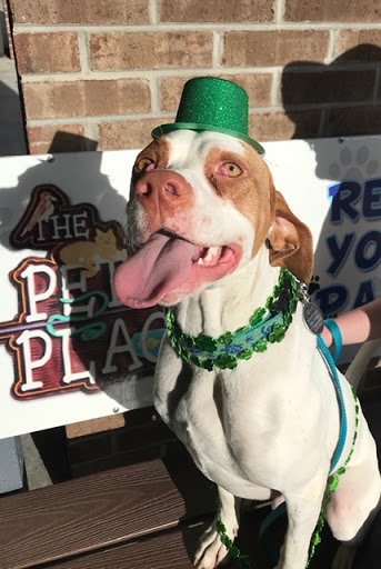 Pet Store «The Pet Place», reviews and photos, 240 Shadowline Dr, Boone, NC 28607, USA