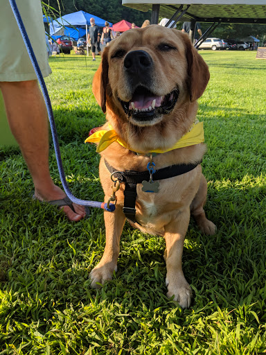 Bozrah Farmers Market