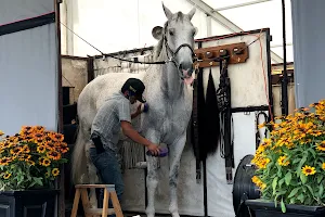 The Classic Equestrian, LLC image