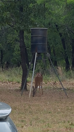 Golf Course «Sugar Tree Golf Club», reviews and photos, 251 Sugartree Dr, Lipan, TX 76462, USA