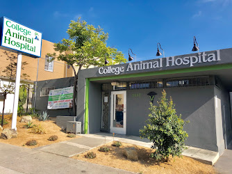 College Animal Hospital