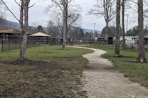 City of Brevard Dog Park image
