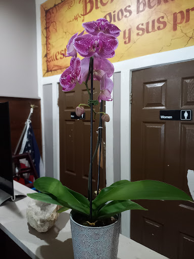 Tattoo Shop «Heirloom Tattoo and Piercing», reviews and photos, 68 S Main St, Manville, NJ 08835, USA