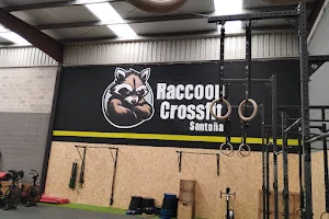 Raccoon CrossFit Santoña image