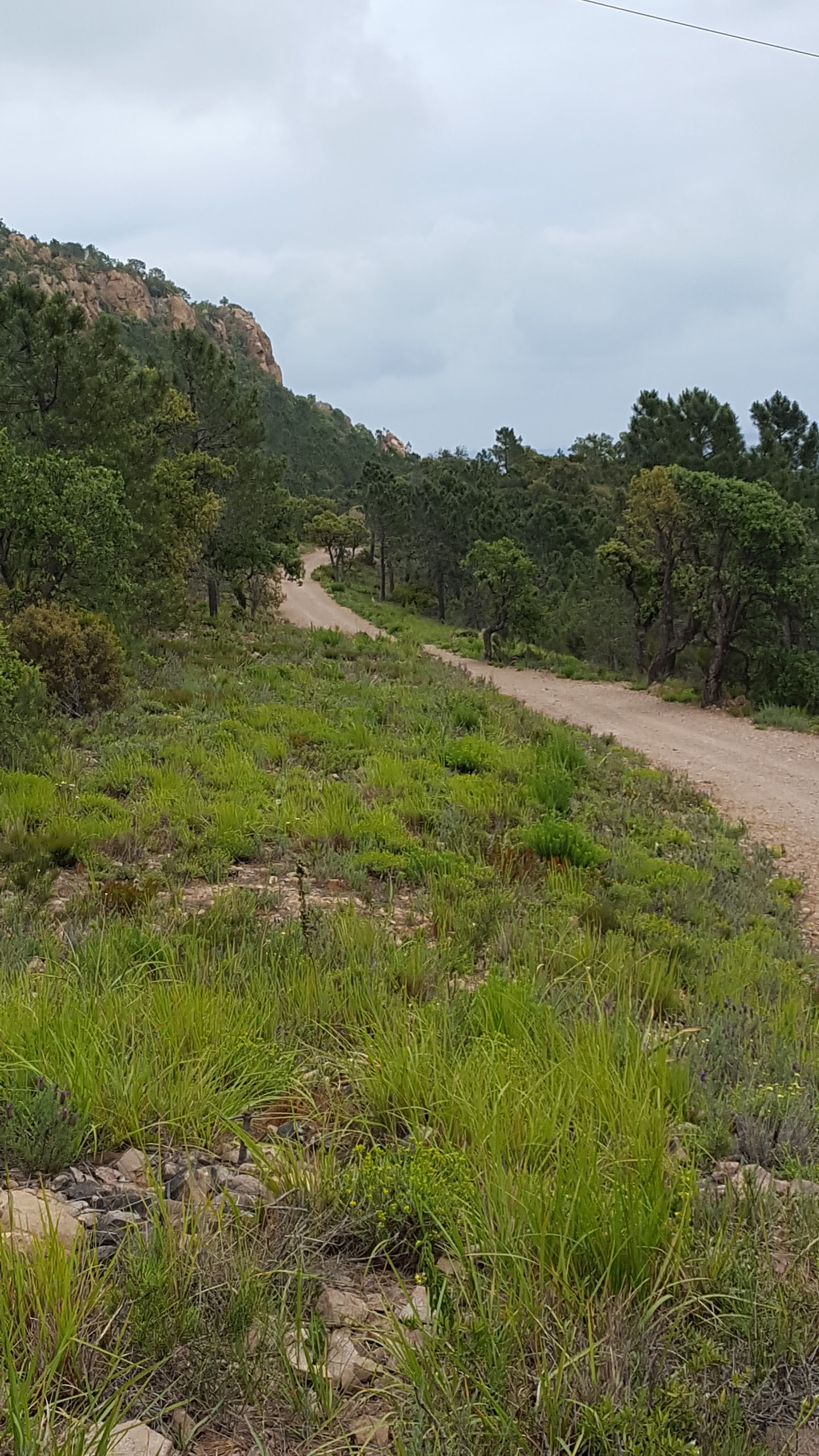 Photo n° 2 de l'avis de J.� fait le 31/05/2017 à 14:36