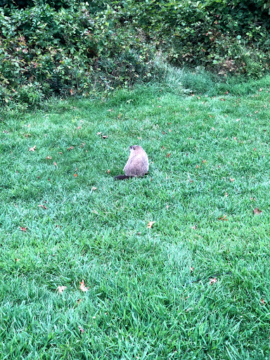 Golf Course «South Shore Golf Course», reviews and photos, 200 Huguenot Ave, Staten Island, NY 10312, USA