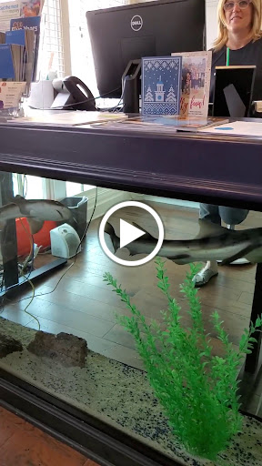 Auto Insurance Agency «Eric Stewarts Insurance Agency», reviews and photos