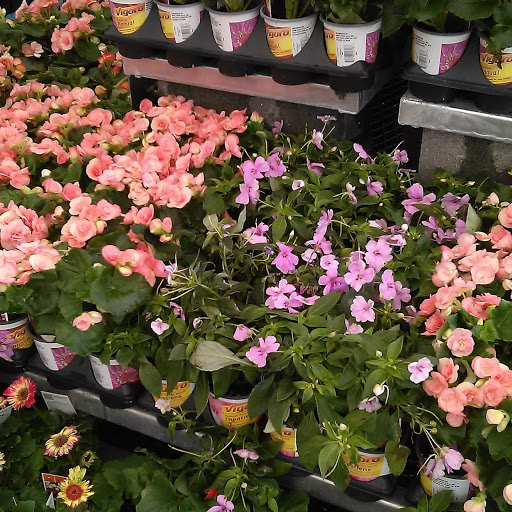 Home Improvement Store «The Home Depot», reviews and photos, 4200 Derry St, Swatara, PA 17111, USA