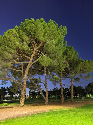 Emerald Glen Park image