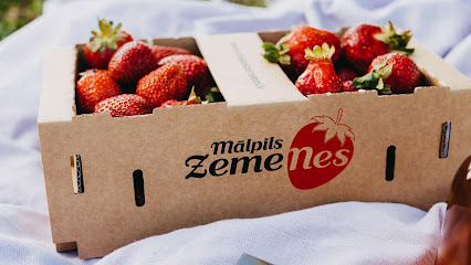 Mālpils ZemeNes