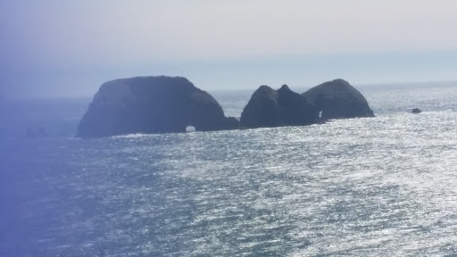 Horse Boarding Stable «Green Acres Beach & Trail Rides», reviews and photos, 5985 Pacific Ave, Cloverdale, OR 97112, USA