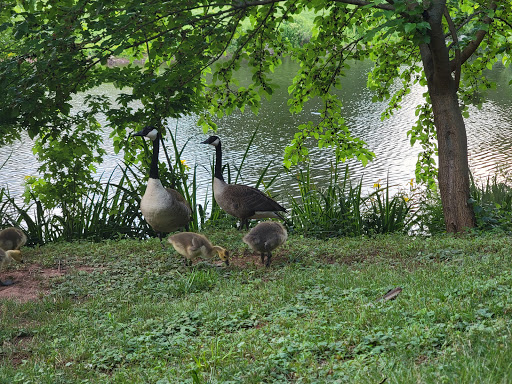 Golf Course «Raritan Landing Golf Course», reviews and photos, 491 Sidney Rd, Piscataway Township, NJ 08854, USA